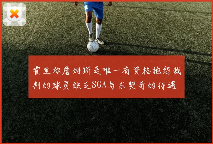 霍里称詹姆斯是唯一有资格抱怨裁判的球员缺乏SGA与东契奇的待遇