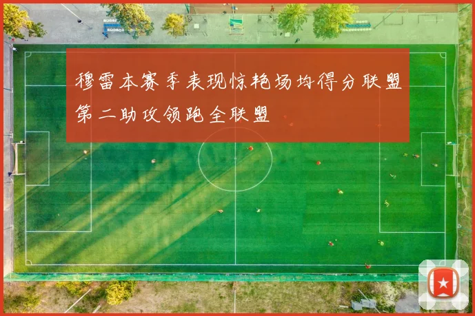 穆雷本赛季表现惊艳场均得分联盟第二助攻领跑全联盟