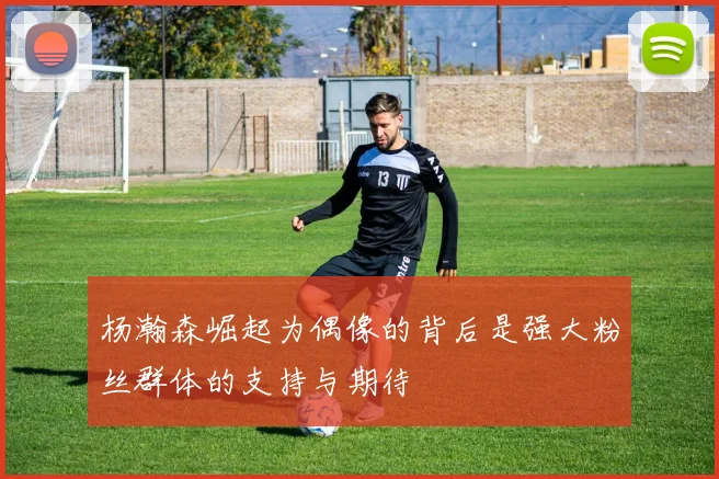 杨瀚森崛起为偶像的背后是强大粉丝群体的支持与期待