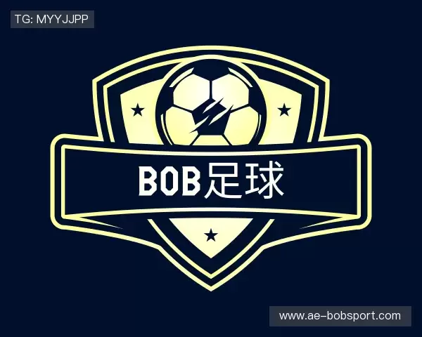 关于bob体育